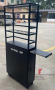 TSR-519