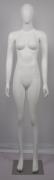 出租 女裝模特兒  高182cm