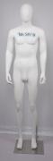 TSM-9 Male Mannequin (Height 191cm) - For Sale & Rent